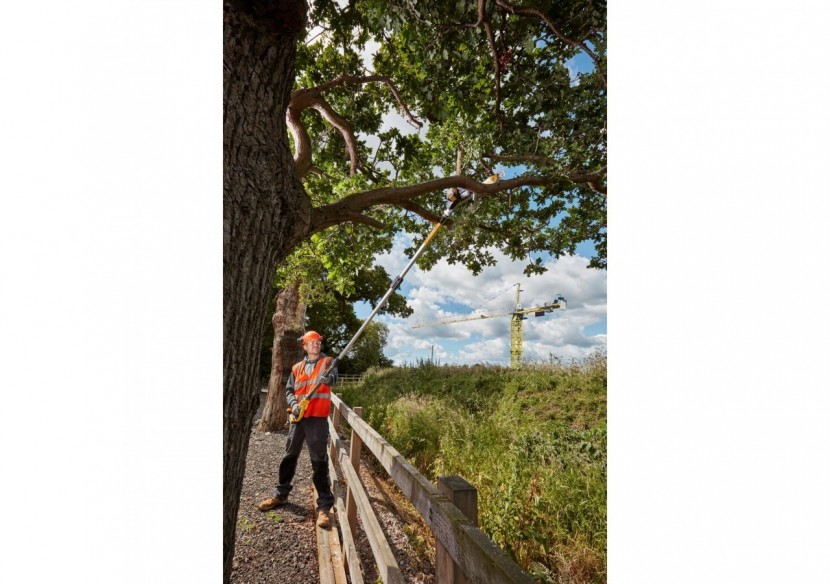 Elagueuse sur perche XR 18V Brushless - DCMPS567N-XJ - Dewalt