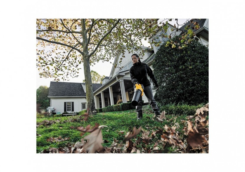 Souffleur XR FLEXVOLT 54V 3Ah Li-Ion Brushless - DCMBA572X1-QW - Dewalt Souffleur XR FLEXVOLT 54V 3Ah Li-Ion Brushless - DCMBA572X1-QW - Dewalt