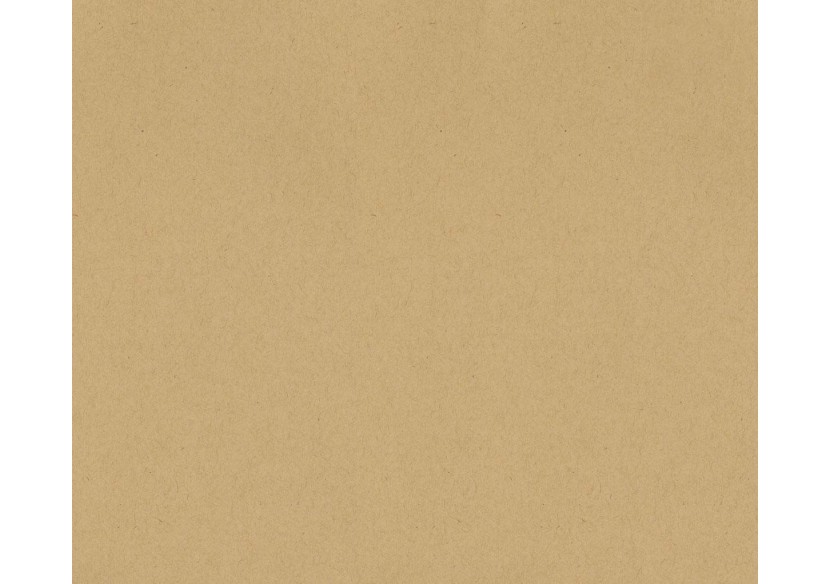 Façade de placard coulissante 2 portes À décorer en kraft - Kazed : Confort'Mat