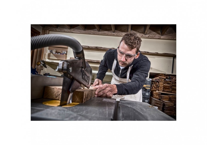 Lame de scie circulaire stationnaire Extreme Workshop 250x30mm, 24 dents - DT4311-QZ - Dewalt