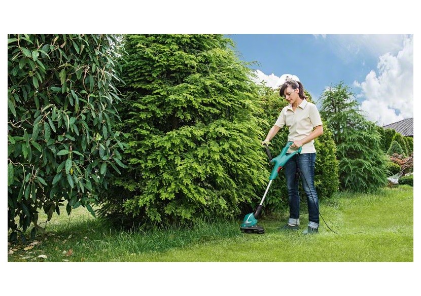 Coupe-bordures ART 24 - 06008A5800 - Bosch