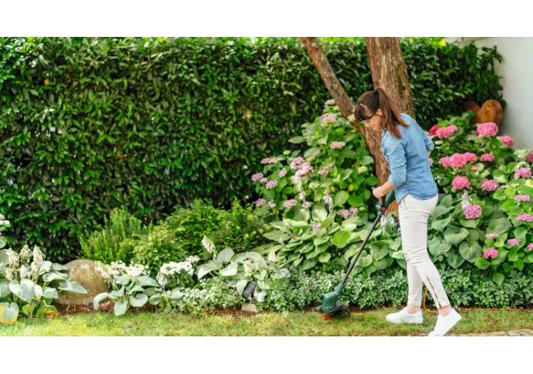 Coupe-bordures EasyGrassCut 18V-26 nu sans-fil - 06008C1C04 - Bosch