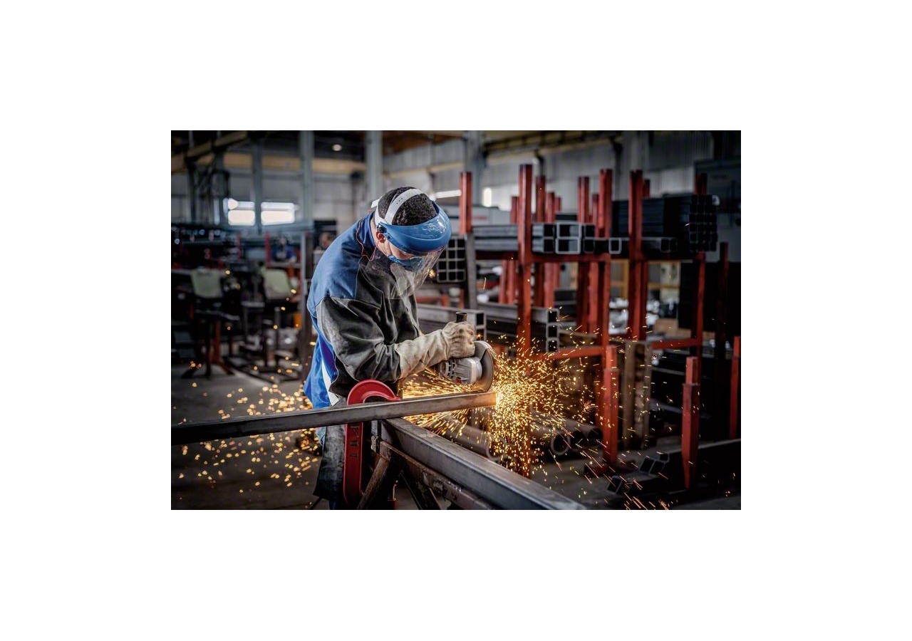 MEULEUSE GWS 2000 P Carton - 06018F2100 - Bosch