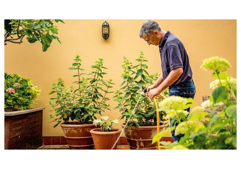 Pompe à eau de pluie sans-fil GardenPump 18V-2000 avec 1 batterie - 06008C4202 - Bosch