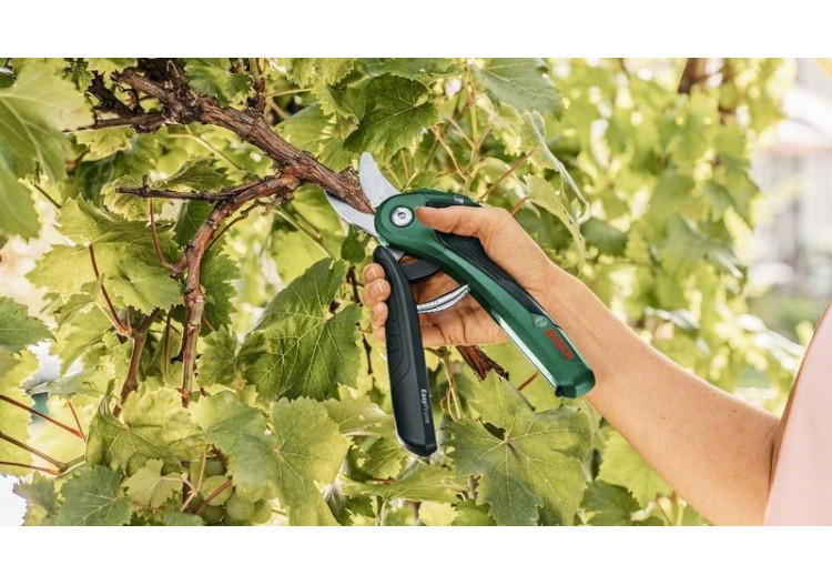 Sécateur sans fil EasyPrune - 06008B2102 - Bosch 2