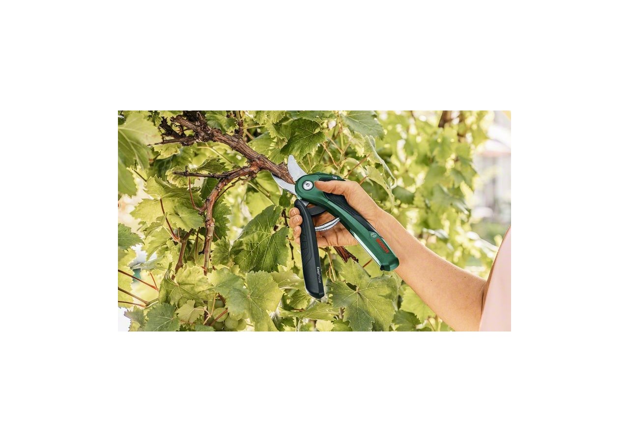 Sécateur sans fil EasyPrune - 06008B2102 - Bosch