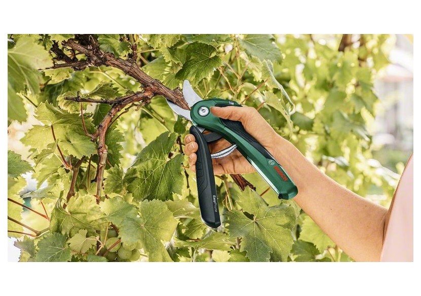 Sécateur sans fil EasyPrune - 06008B2102 - Bosch