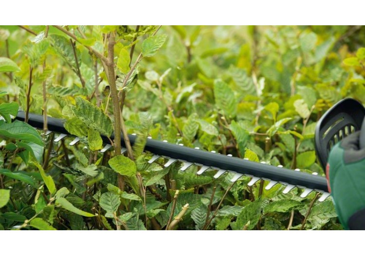 Taille-haies sans fil 18V UniversalHedgeCut 18V-50 - outil seul sans batterie - 0600849K00 - Bosch 2