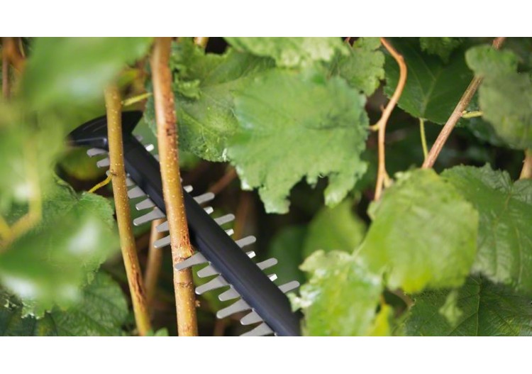 Taille-haies sans fil 18V UniversalHedgeCut 18V-55 - avec 1 batterie 2,5Ah - 0600849J01 - Bosch 2