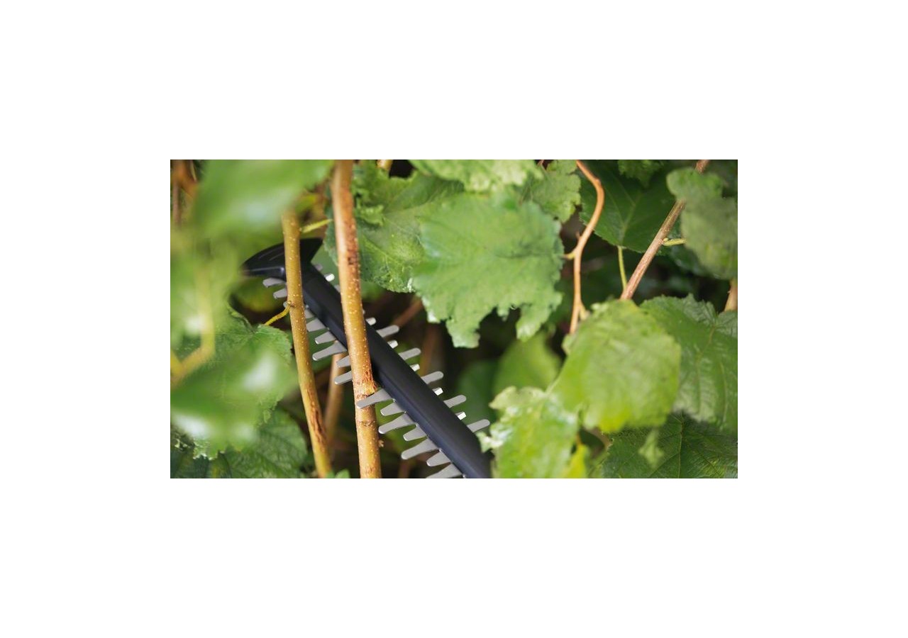 Taille-haies sans fil 18V UniversalHedgeCut 18V-55 - avec 1 batterie 2,5Ah - 0600849J01 - Bosch