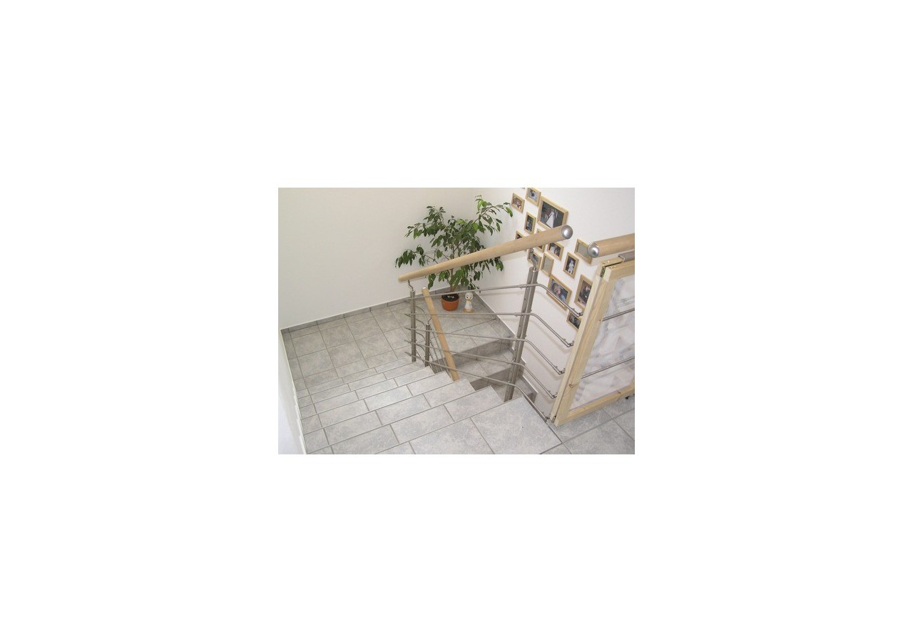 5 Barreaux ronds plein longueur 1500 mm - Inox 304 - 253390 - Dieda