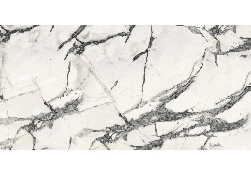 Marmi 30x60 Cellini - Carrelage intérieur en Grès Cérame avec pâte colorée (GM) Rectifié Brillant - 8202053