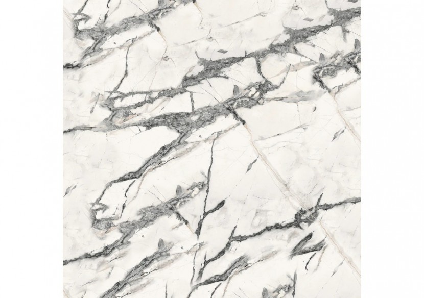 Marmi 120x120 Cellini - Carrelage intérieur en Grès Cérame avec pâte colorée (GM) Rectifié mat - T200014