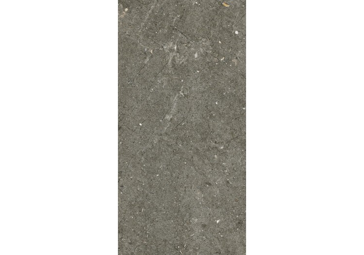 Ardesia 30x60 Vicenza - Carrelage intérieur et extérieur en Grès Cérame avec pâte colorée (GM) Naturel ROC - 7280016