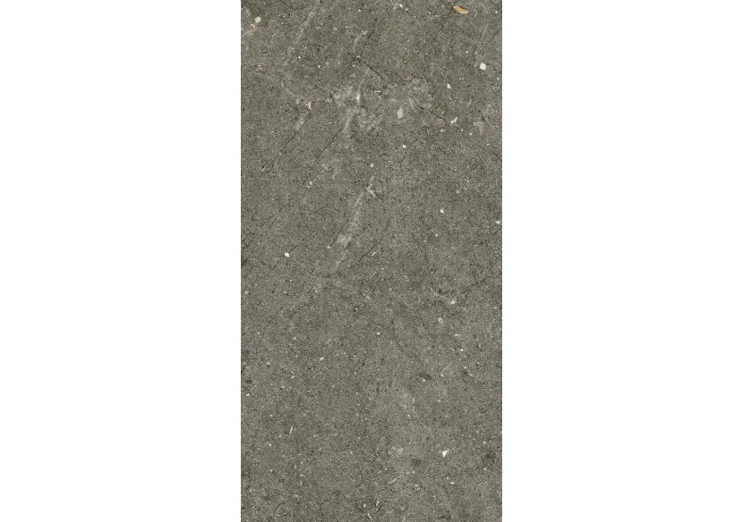 Ardesia 30x60 Vicenza - Carrelage intérieur et extérieur en Grès Cérame avec pâte colorée (GM) Naturel ROC - 7280016