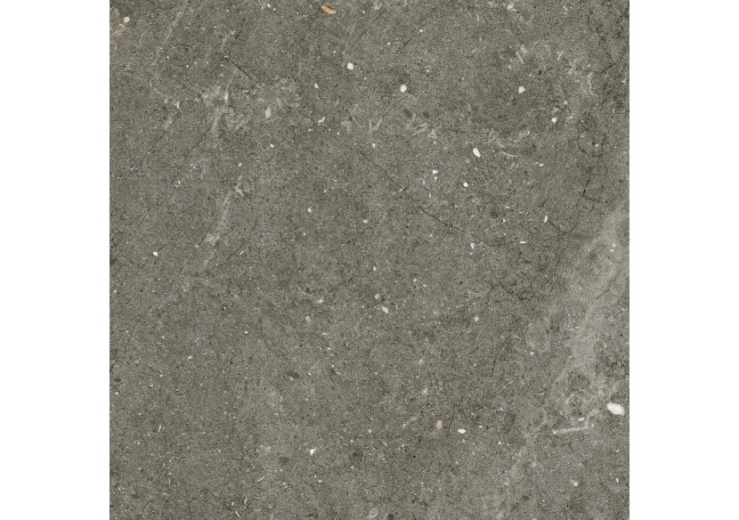 Ardesia 60x60 Vicenza - Carrelage intérieur et extérieur en Grès Cérame avec pâte colorée (GM) Rectifié - 8332055