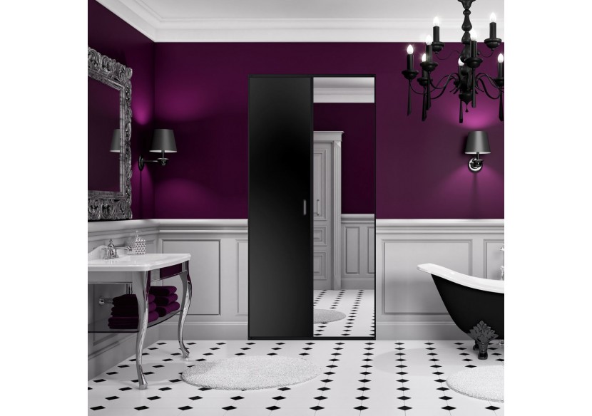 So glam : Façade de placard pivotante 2 portes uni mat et miroir argent