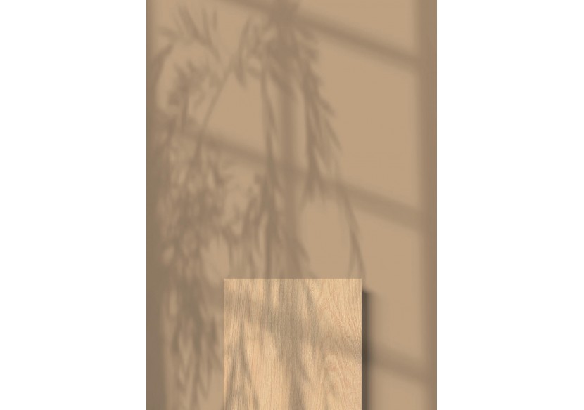 Albero 20x120 Citronnier - Carrelage intérieur en Grès Cérame avec pâte colorée (GM) Rectifié - 8200168