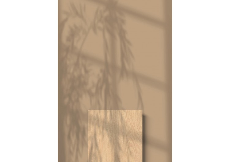 Albero 20x120 Citronnier - Carrelage intérieur en Grès Cérame avec pâte colorée (GM) Rectifié antidérapant - 8200208 2