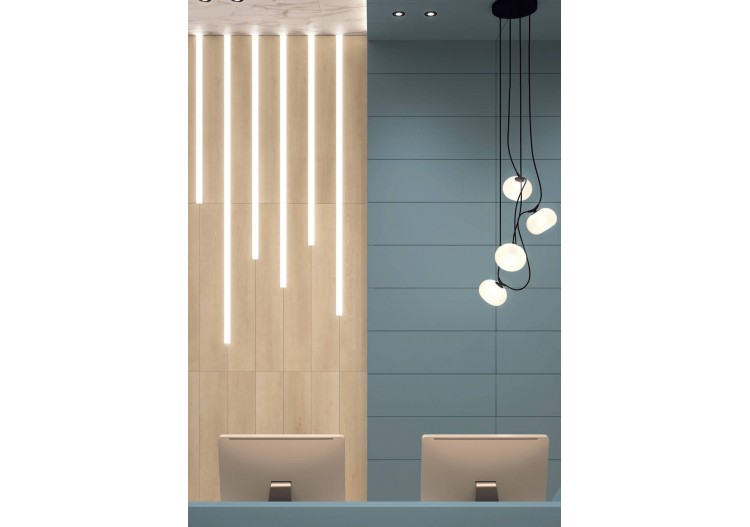 Albero 20x120 Frêne - Carrelage intérieur en Grès Cérame avec pâte colorée (GM) Rectifié antidérapant - 8200153 2