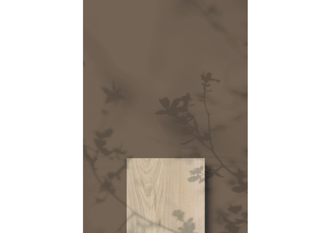 Albero 20x120 Frêne - Carrelage intérieur en Grès Cérame avec pâte colorée (GM) Rectifié antidérapant - 8200153