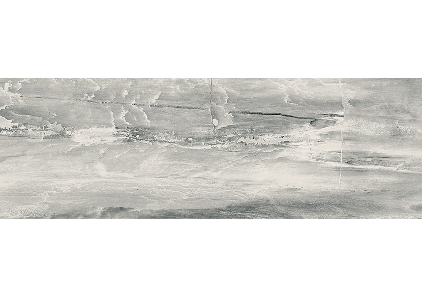 Petrified-Wood 10x30 Blanc - Carrelage intérieur en Grès Cérame émaillé (GS) rectifié poli - PEW1030WHL