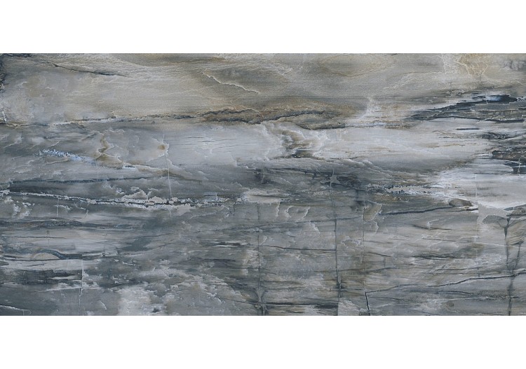 Petrified-Wood 60x120 Bleu...