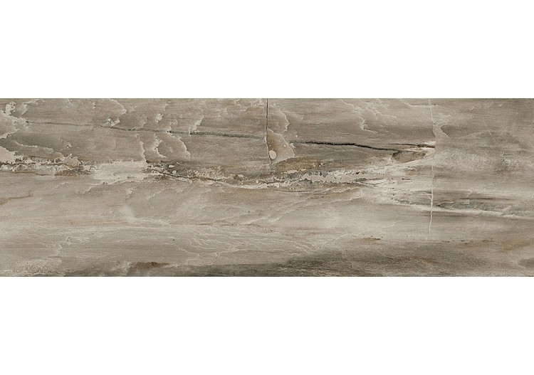 Petrified-Wood 10x30 Naturel - Carrelage intérieur en Grès Cérame émaillé (GS) rectifié poli - PEW1030NAL