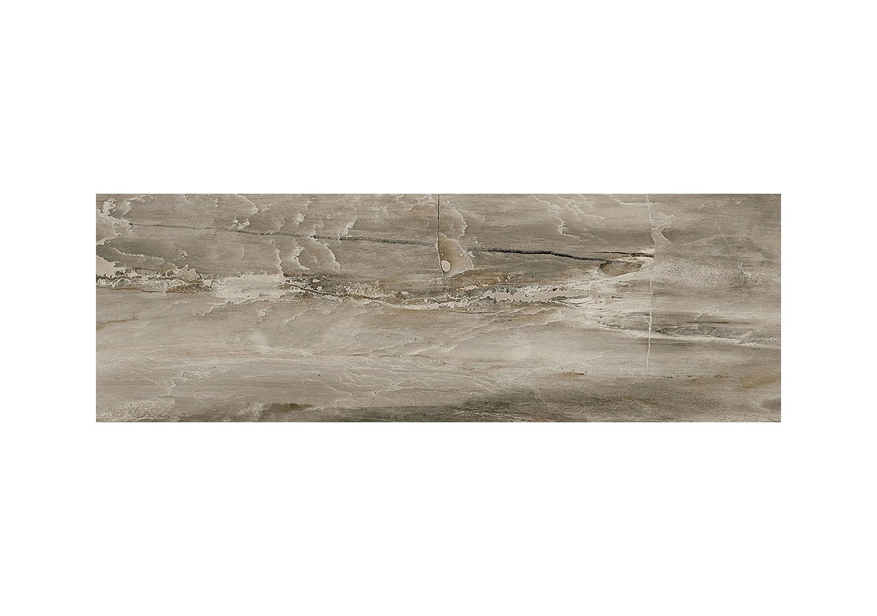 Petrified-Wood 10x30 Naturel - Carrelage intérieur en Grès Cérame émaillé (GS) rectifié poli - PEW1030NAL