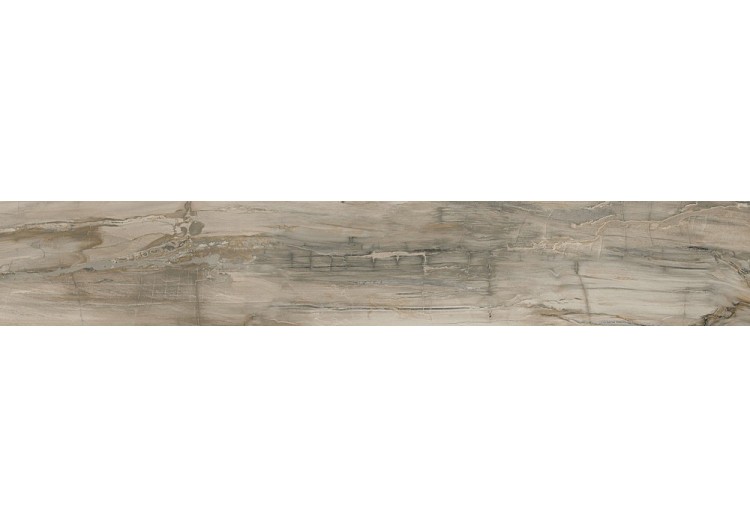 Petrified-Wood 20x120 Naturel - Carrelage intérieur en Grès Cérame émaillé (GS) rectifié poli - PEW20120NAL