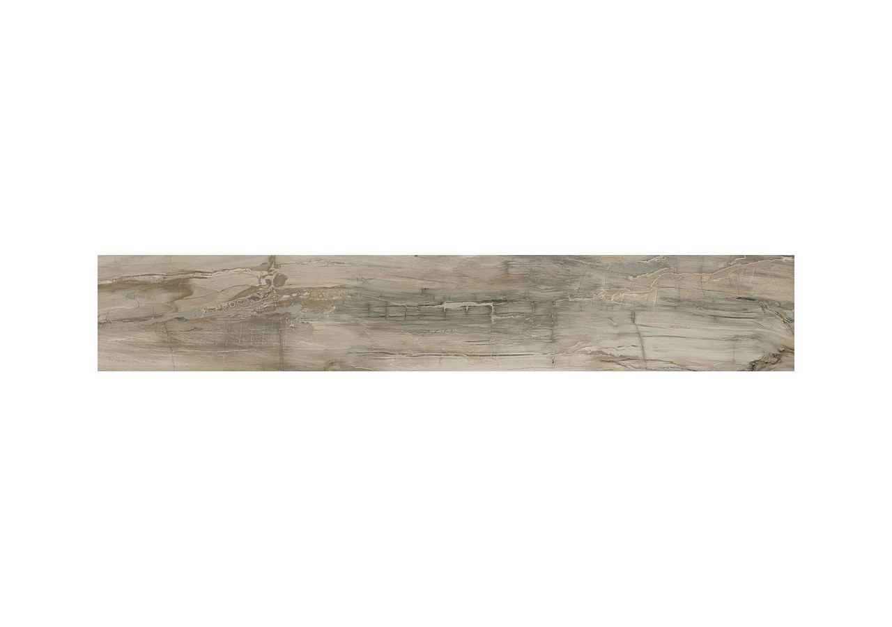 Petrified-Wood 20x120 Naturel - Carrelage intérieur en Grès Cérame émaillé (GS) rectifié poli - PEW20120NAL