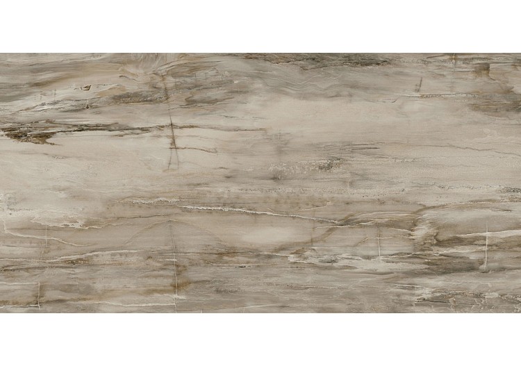 Petrified-Wood 60x120...