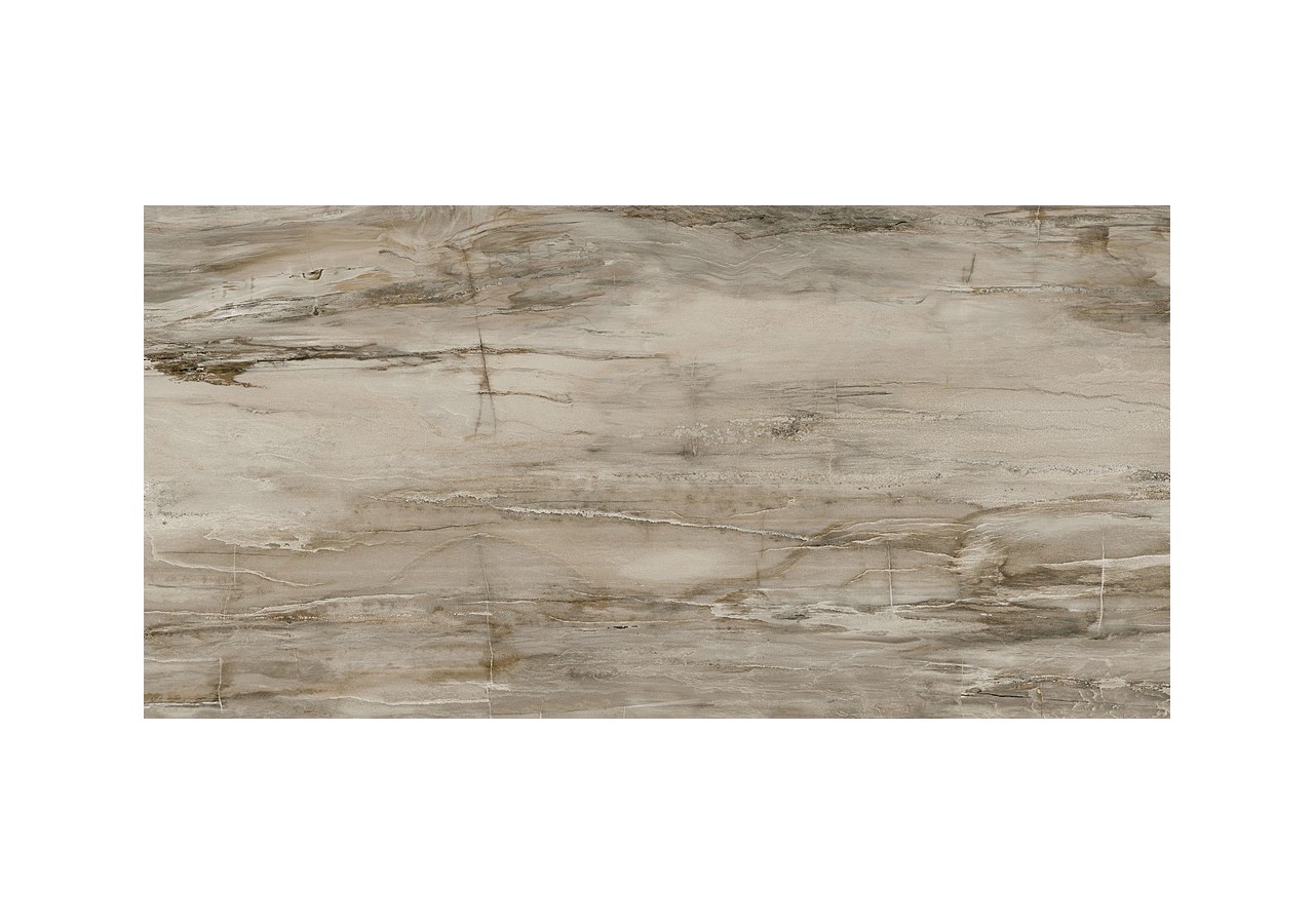 Petrified-Wood 60x120 Naturel - Carrelage intérieur en Grès Cérame émaillé (GS) Rectifié - PEW60120NA