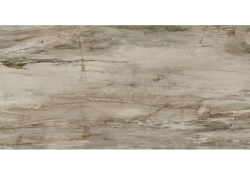 Petrified-Wood 60x120 Naturel - Carrelage intérieur en Grès Cérame émaillé (GS) Rectifié - PEW60120NA