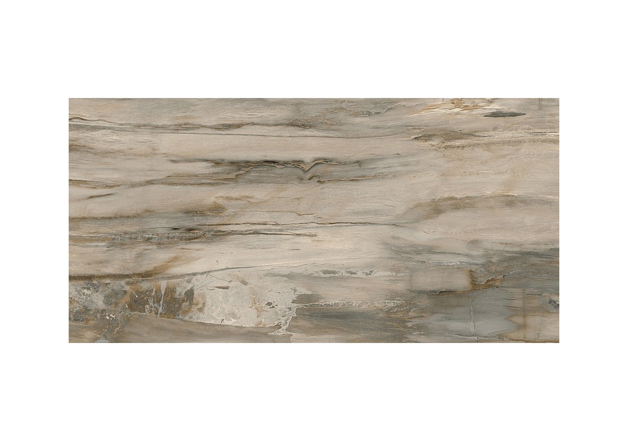 Petrified-Wood 30x60 Naturel - Carrelage intérieur en Grès Cérame émaillé (GS) rectifié poli - PEW3060NAL