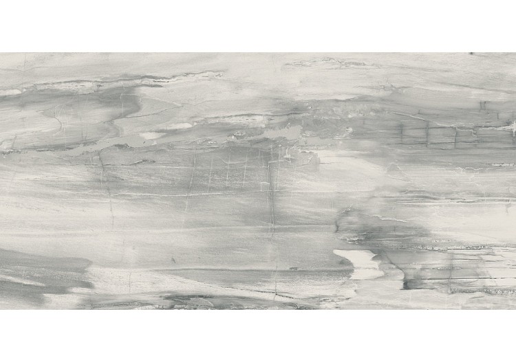 Petrified-Wood 30x60 Blanc...