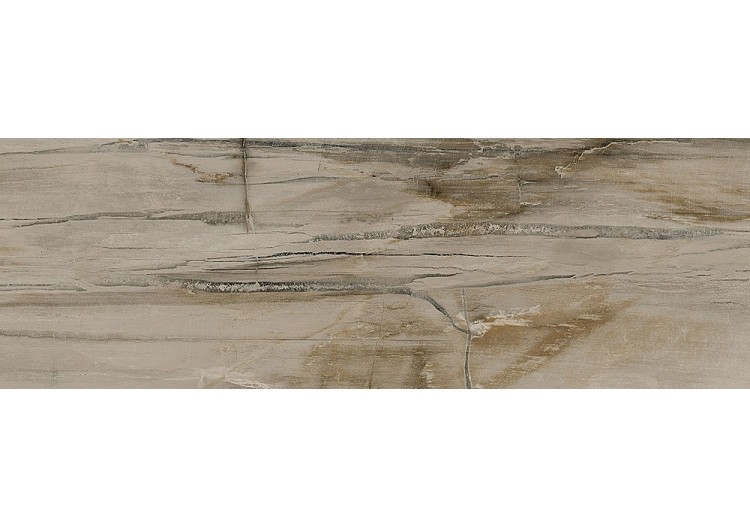 Petrified-Wood 10x30 Naturel - Carrelage intérieur en Grès Cérame émaillé (GS) Rectifié - PEW1030NA