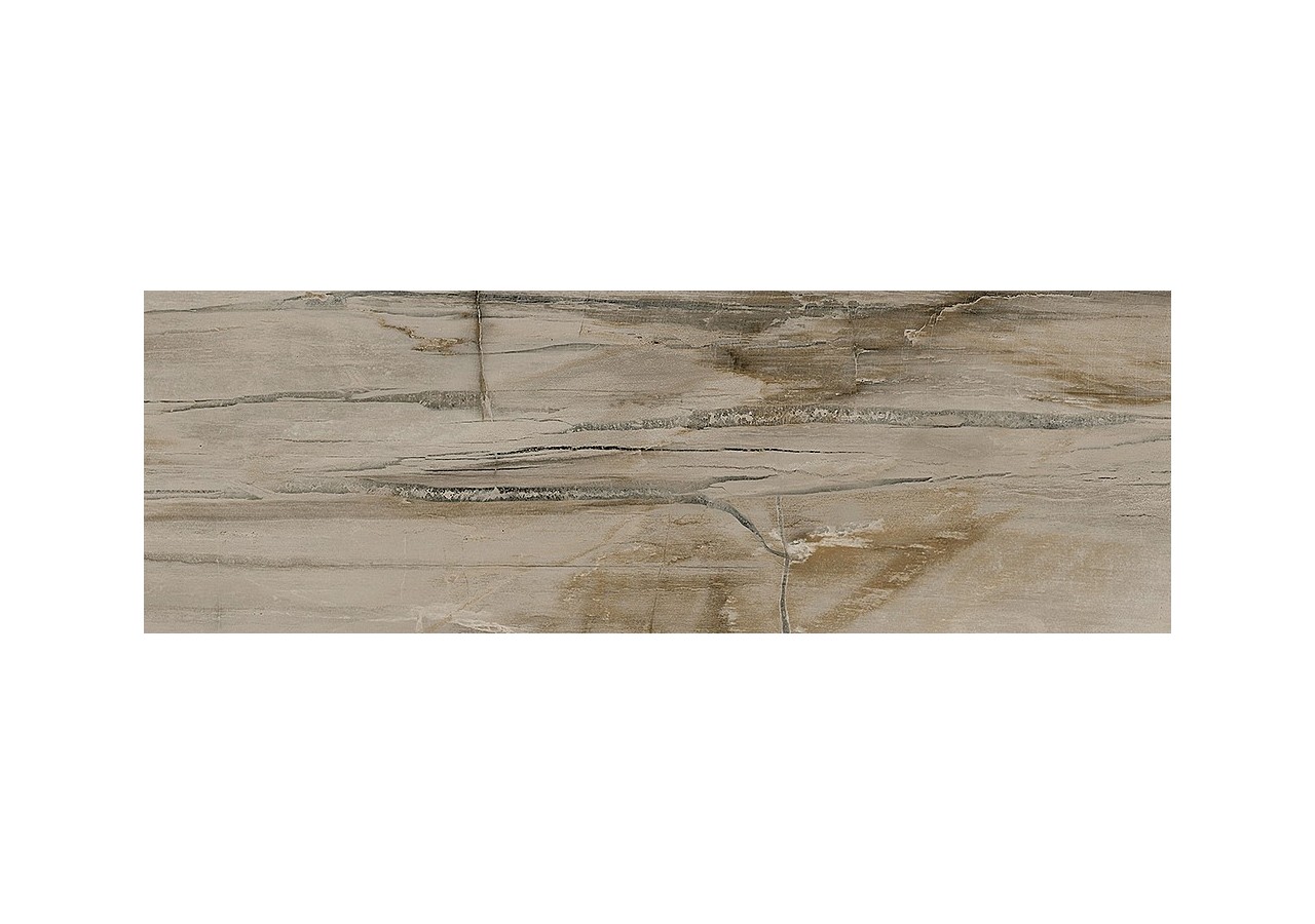 Petrified-Wood 10x30 Naturel - Carrelage intérieur en Grès Cérame émaillé (GS) Rectifié - PEW1030NA