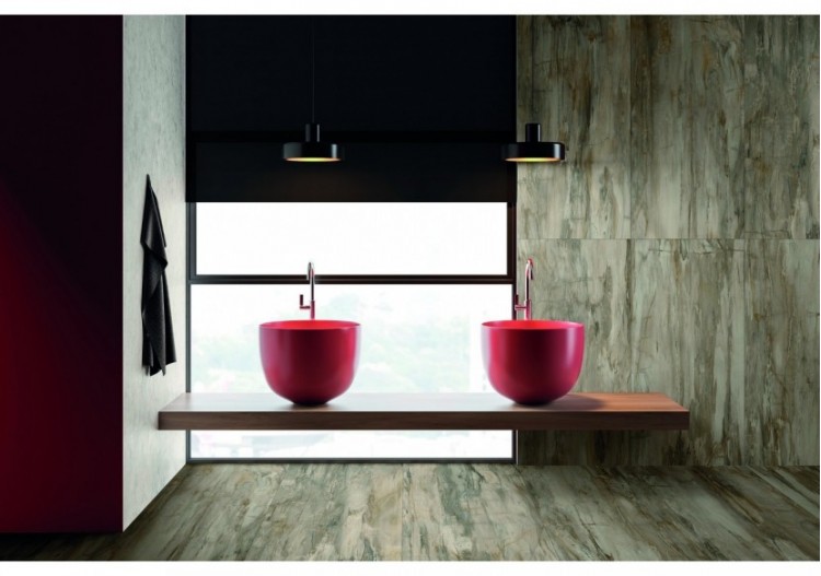 Petrified-Wood 10x30 Naturel - Carrelage intérieur en Grès Cérame émaillé (GS) Rectifié - PEW1030NA 2