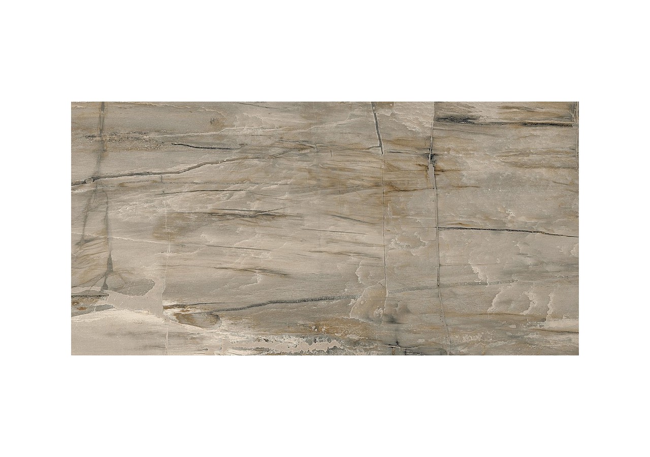 Petrified-Wood 30x60 Naturel - Carrelage intérieur en Grès Cérame émaillé (GS) Rectifié - PEW3060NA