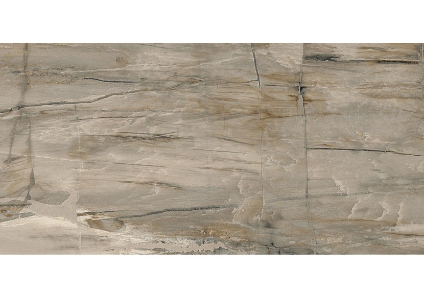 Petrified-Wood 30x60 Naturel - Carrelage intérieur en Grès Cérame émaillé (GS) Rectifié - PEW3060NA