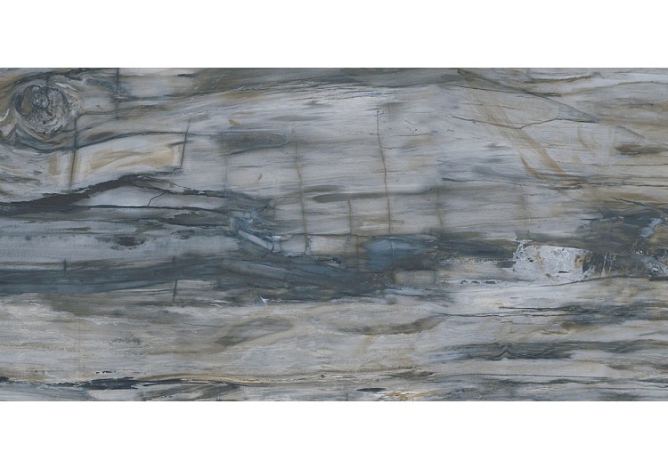 Petrified-Wood 60x120 Bleu...