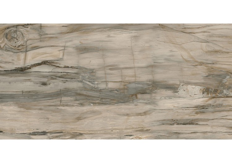 Petrified-Wood 60x120...