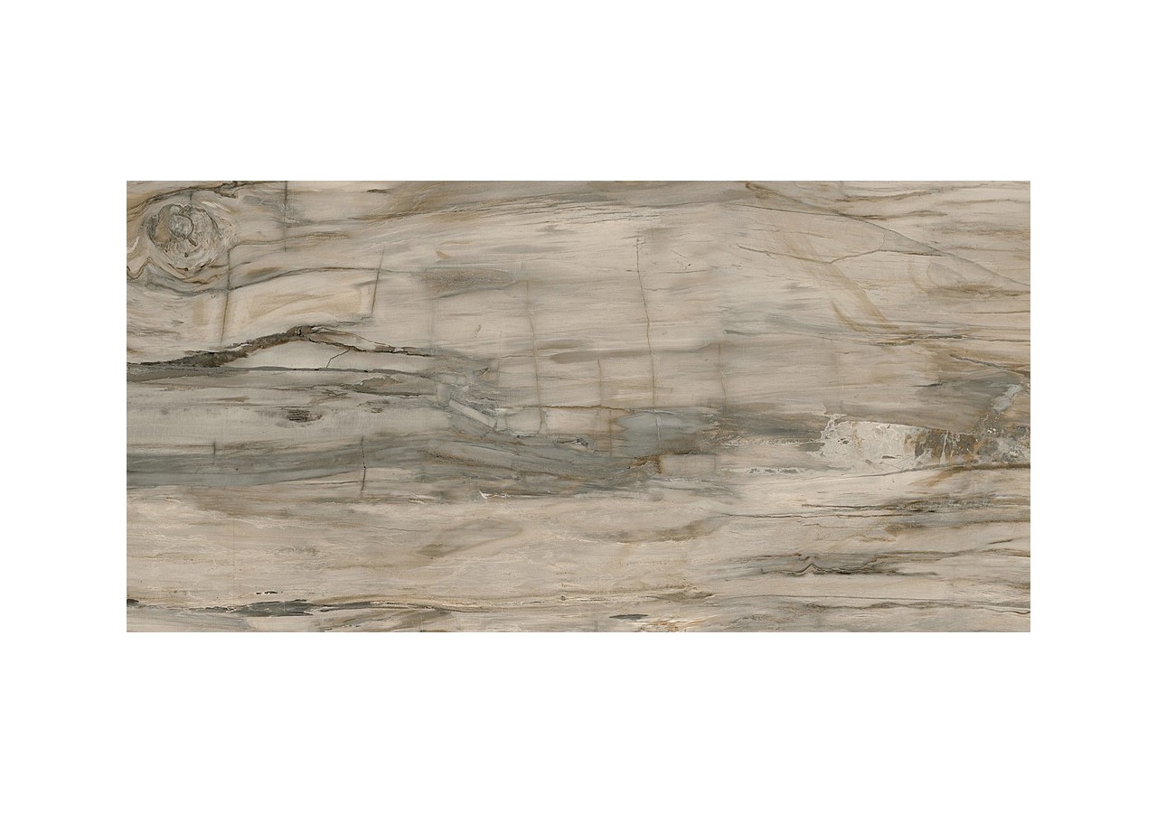 Petrified-Wood 60x120 Naturel - Carrelage intérieur en Grès Cérame émaillé (GS) rectifié poli - PEW60120NAL