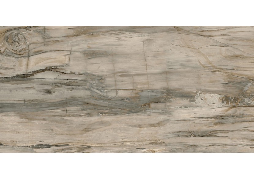 Petrified-Wood 60x120 Naturel - Carrelage intérieur en Grès Cérame émaillé (GS) rectifié poli - PEW60120NAL