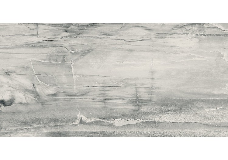 Petrified-Wood 30x60 Blanc - Carrelage intérieur en Grès Cérame émaillé (GS) Rectifié - PEW3060WH