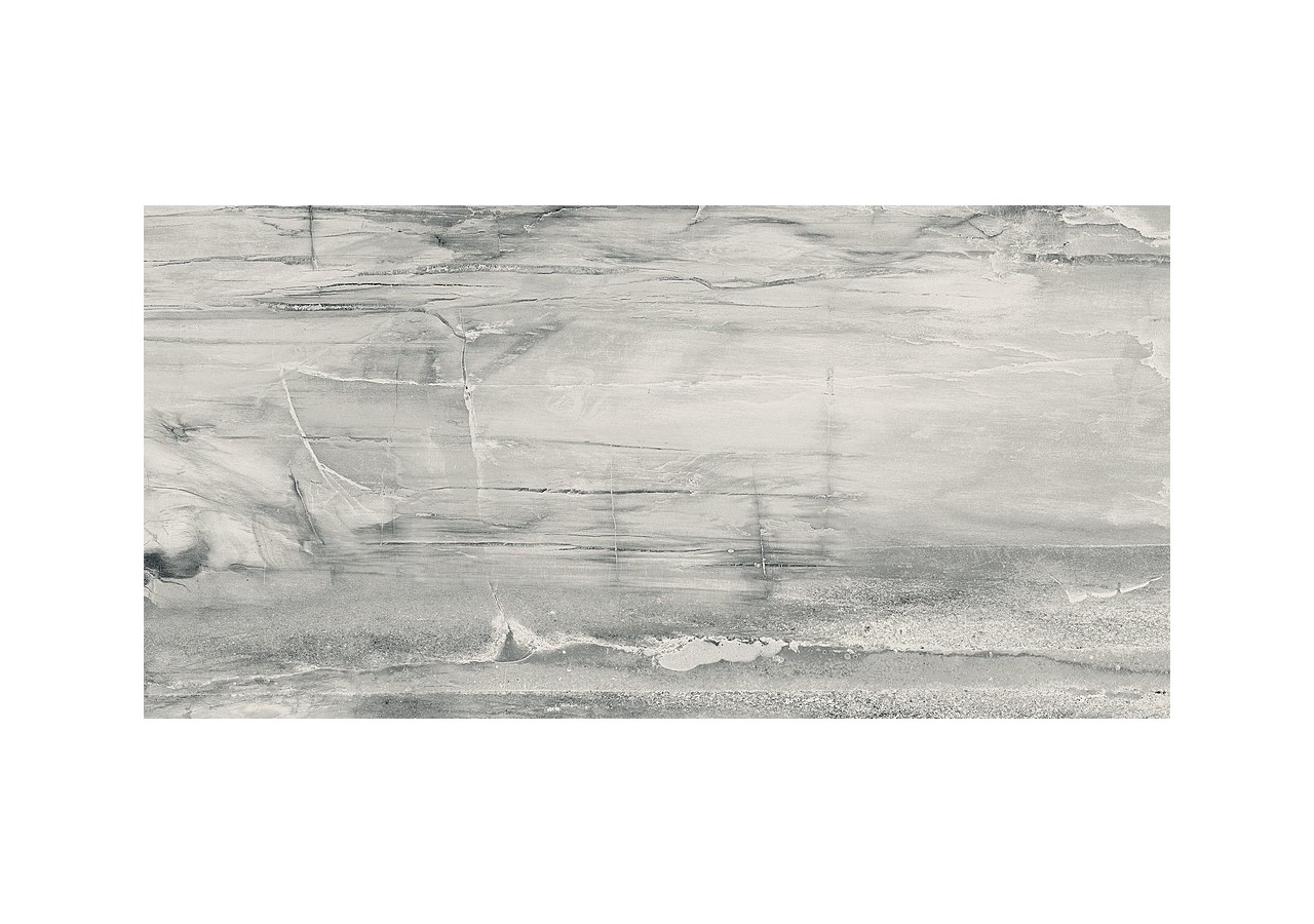 Petrified-Wood 30x60 Blanc - Carrelage intérieur en Grès Cérame émaillé (GS) Rectifié - PEW3060WH