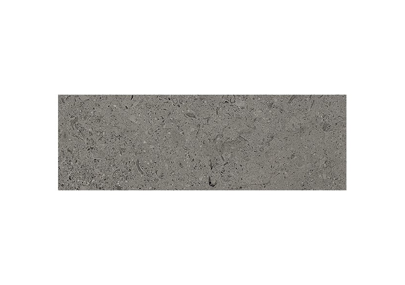 Shellstone 10x30 Anthracite - Carrelage intérieur en Grès Cérame émaillé (GS) Rectifié - SH1030DA