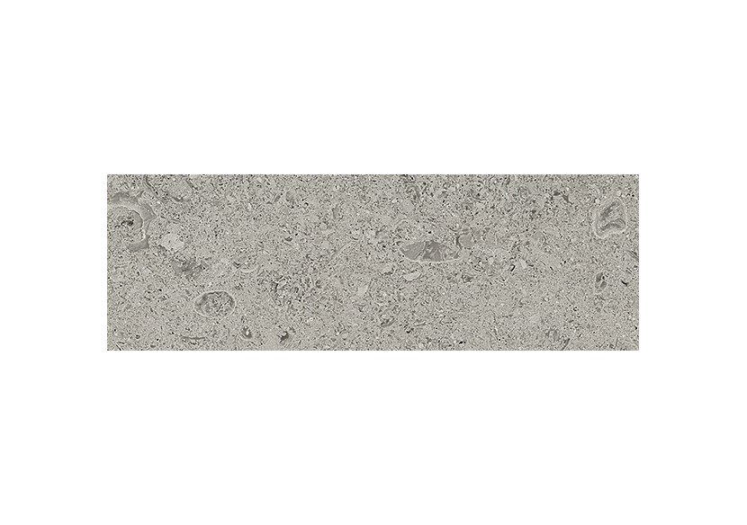 Shellstone 10x30 Gris - Carrelage intérieur en Grès Cérame émaillé (GS) Rectifié - SH1030GY