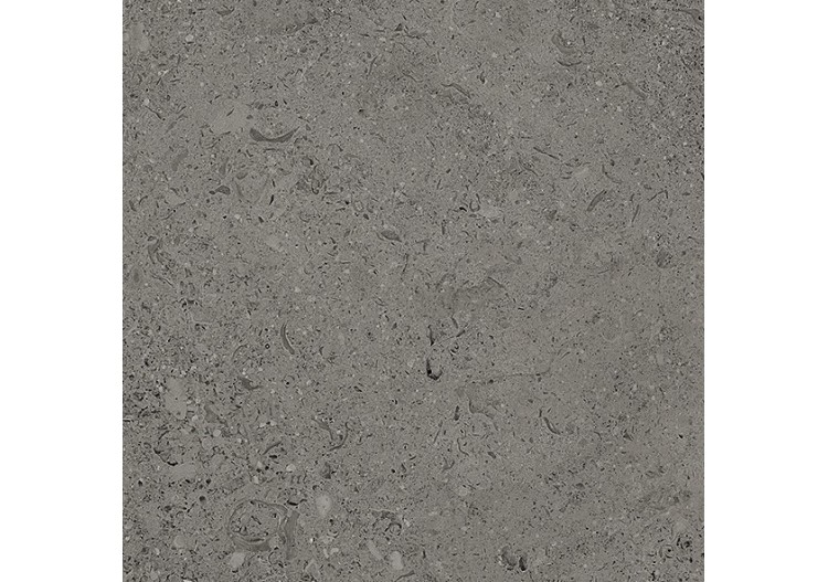 Shellstone 30x30 Anthracite - Carrelage intérieur en Grès Cérame émaillé (GS) Rectifié - SH3030DA